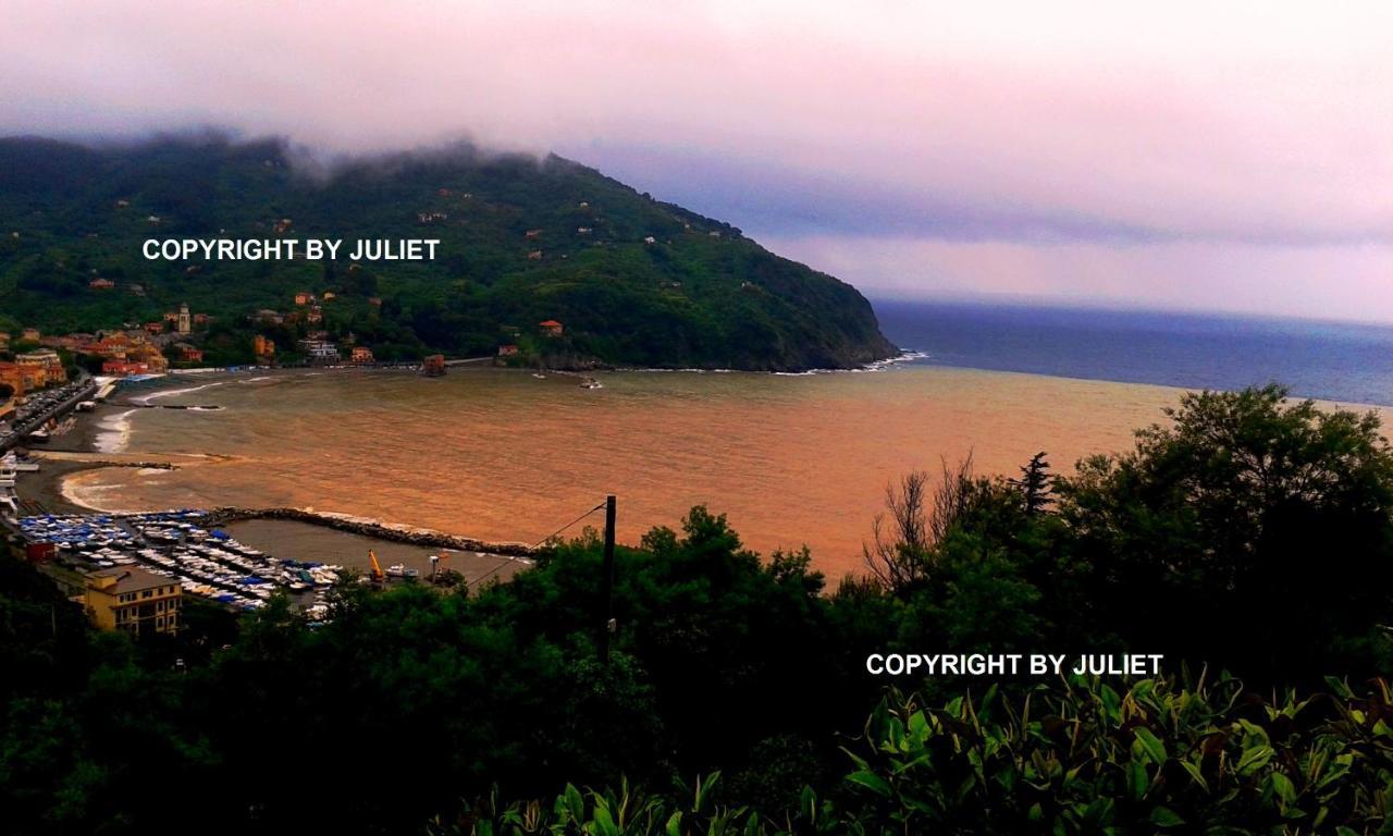 Juliet - apartment in Liguria 5 Terre UNESCO site Levanto Buitenkant foto